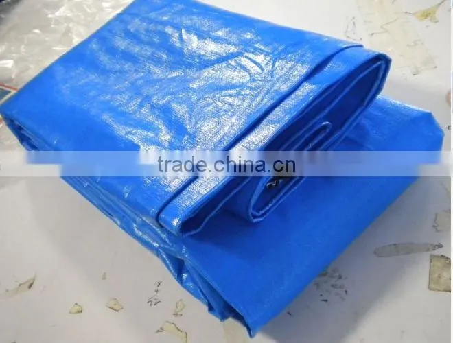 Pond Lining Sheets/pe tarpaulin /hdpe fabric