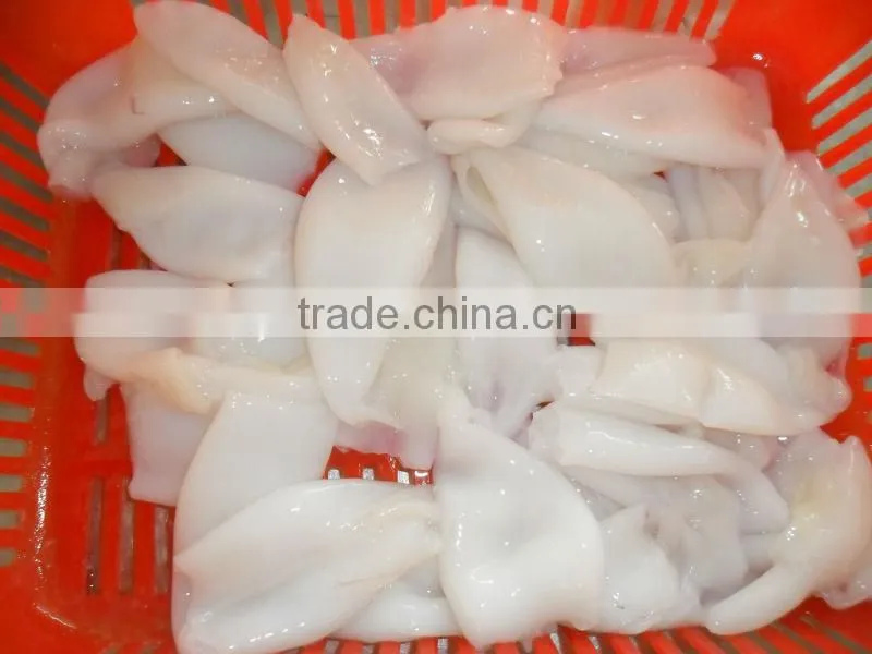 Frozen Squid TO size 3/5 (Loligo Chinese)