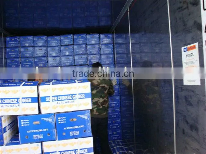 Bulk fresh ginger in carton package