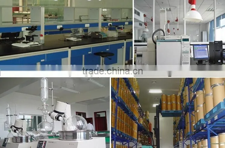 Wholesale Xylitol Lowest Price Xylitol Powder