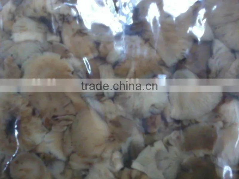 2012 Donghemaoyuan Boiled bracken fern in bag 150g
