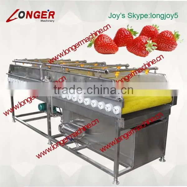 Automatic Strawberry Washer