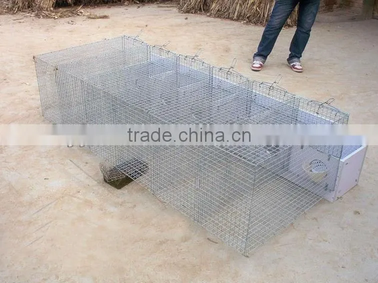 Mink Farming