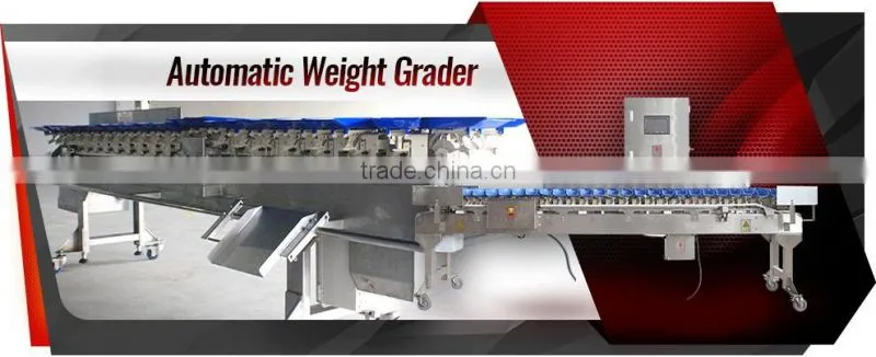 Automatic Chicken Wings and Meats Weight Sorting Machine