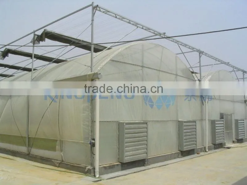 Plastic Film Greenhouse for Vegetable-growing
