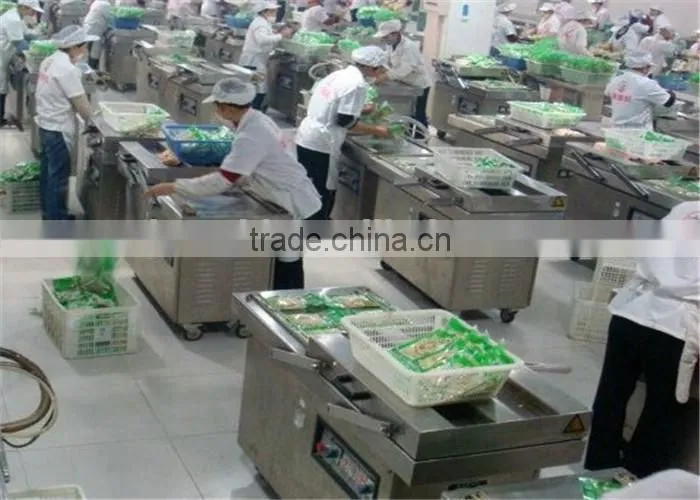 Automatic vacuum packing machine