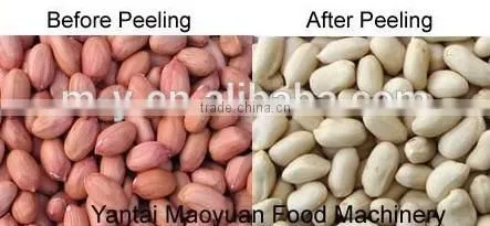 Stainless steel Peanut blanching machine