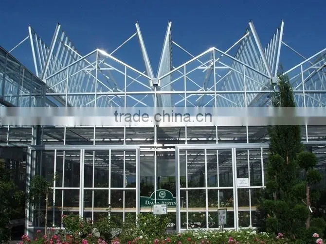 Hot dip galvanized steel glass greenhouse flowers exhibition hall
