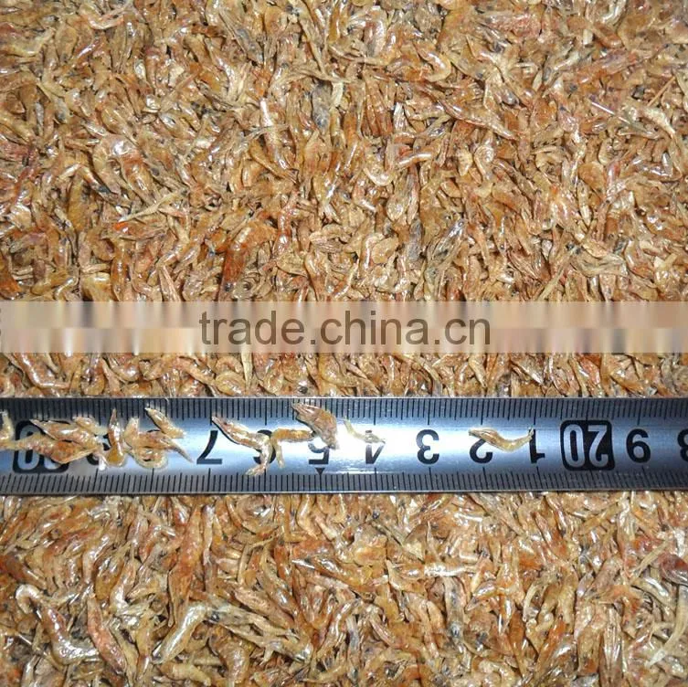 Nutrient pet food dried shrimp for sale