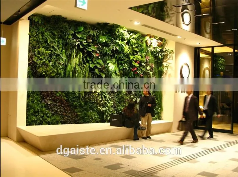 indoor green wall succulent plant or leafy plant combination with the soft foam backing