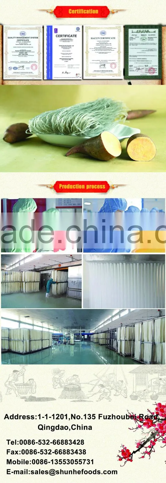 Europe Quality Organic Soybean Pasta Noodles