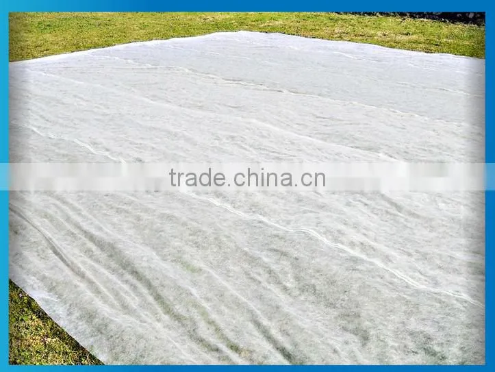 PET Agriculture non-woven polyester