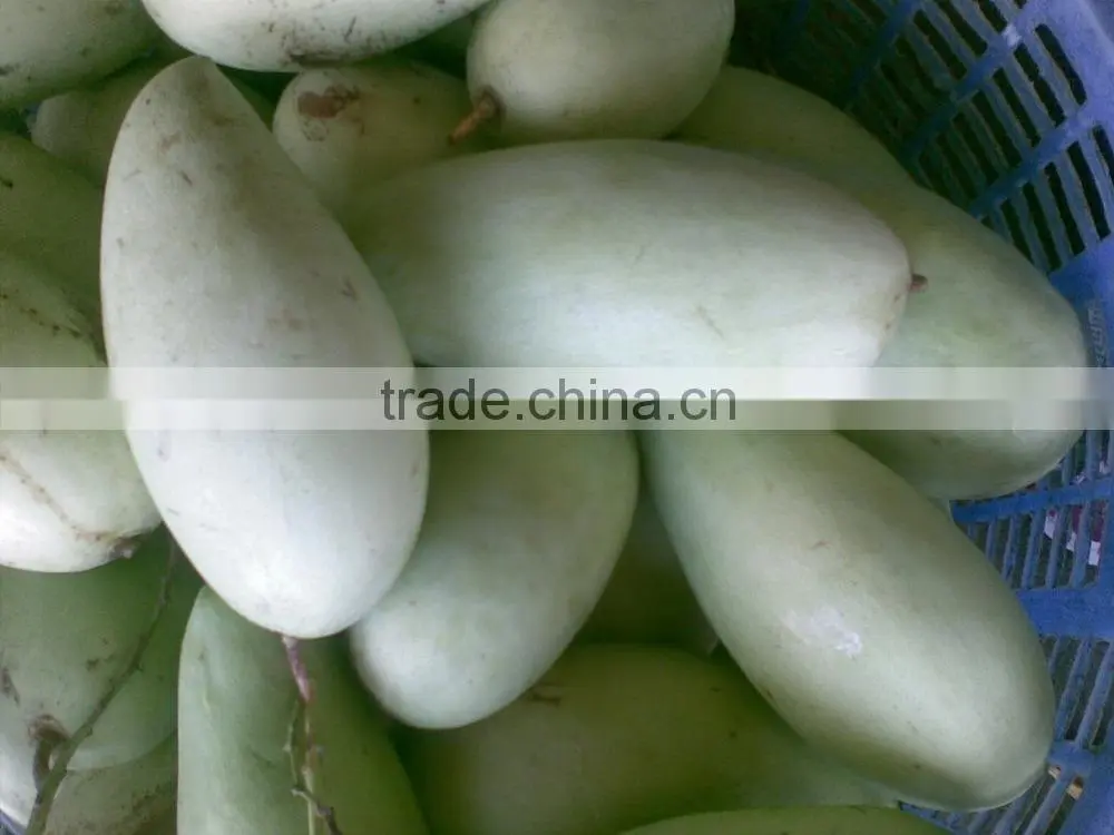 Fresh Fruits Corporation Frozen Mango Export From Viet Nam With Competitive Price Individual Quick Frozen