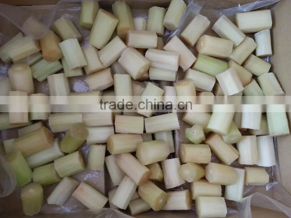 Fresh Sweet Sugarcane from Vietnam/ Sweet Cane Sugar