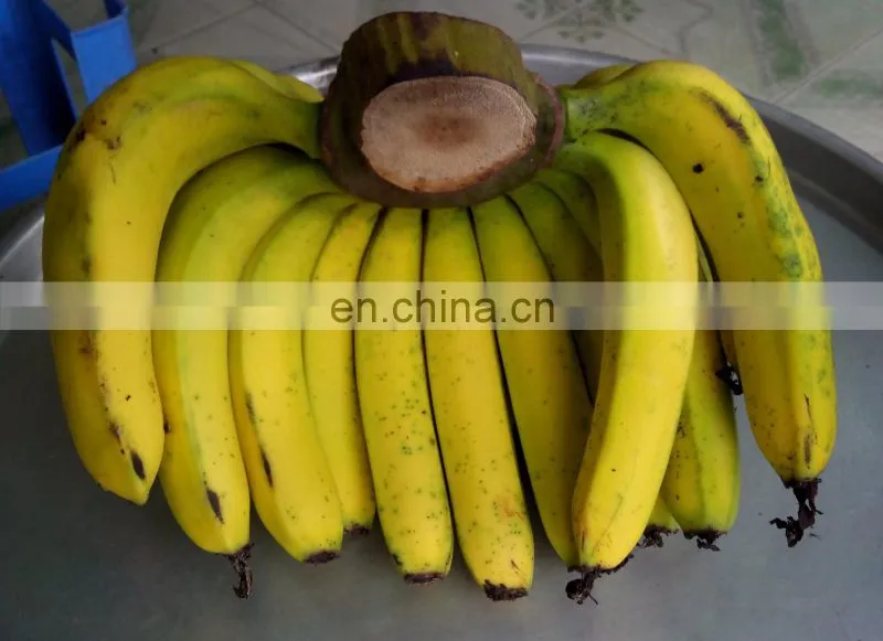 Vietnam Fresh Laba Banana