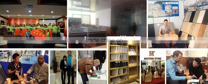 Chinese Basalt Stone,G684 Basalt Tile, Honed Basalt