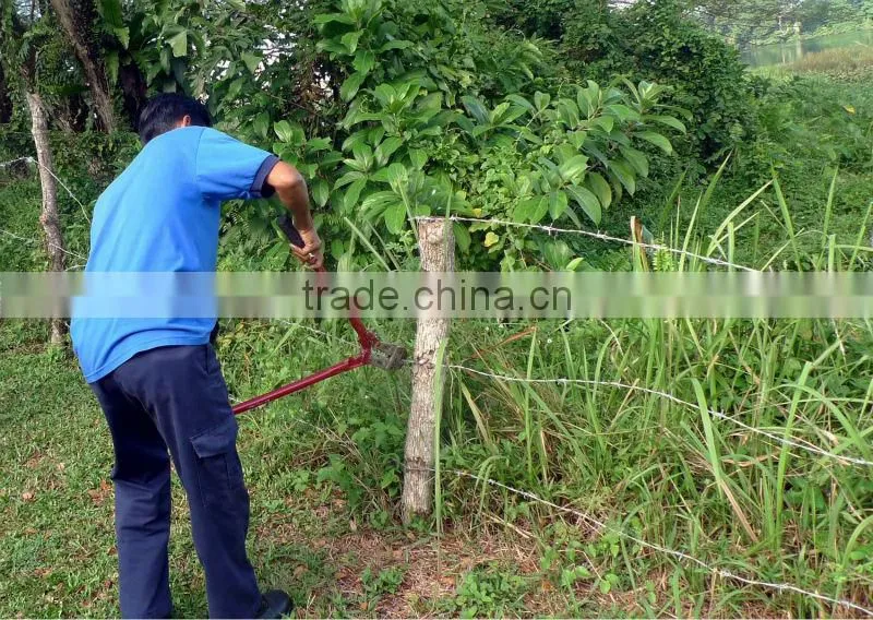 Protection net low carbon high tensile galvanized barbed wire