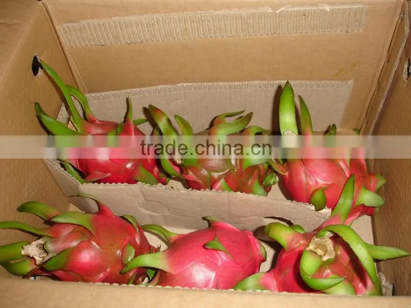 DRAGON FRUIT
