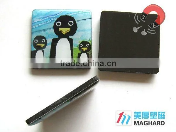 souvenir epoxy magnet set