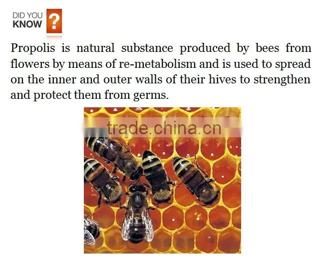 Propolis 1000