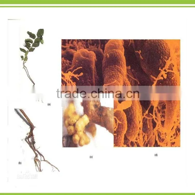 organic amino acid Bio microbial chelate Molybdenum for Leguminous plant