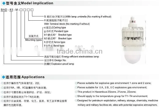 BAD83 explosion proof induction lamp