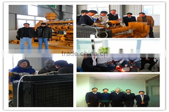 China high quality biogas generator / biomass cogenerator / landfill gas generator