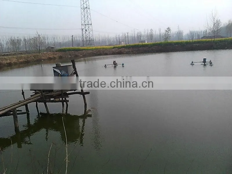 top quality in stock automatic auto fish feeder