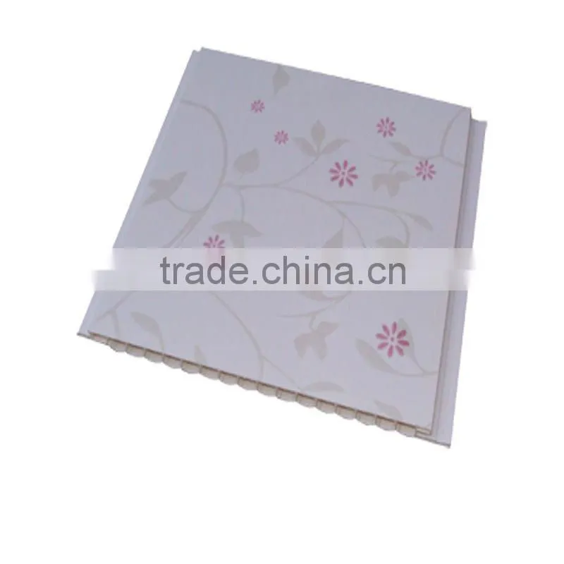 Clear plastic PVC wall panels