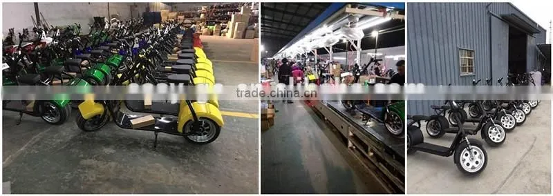 Newest design 1000w/800w City COCO scooter with sidecar with CE/RoHS/FCC certificate hot on sale