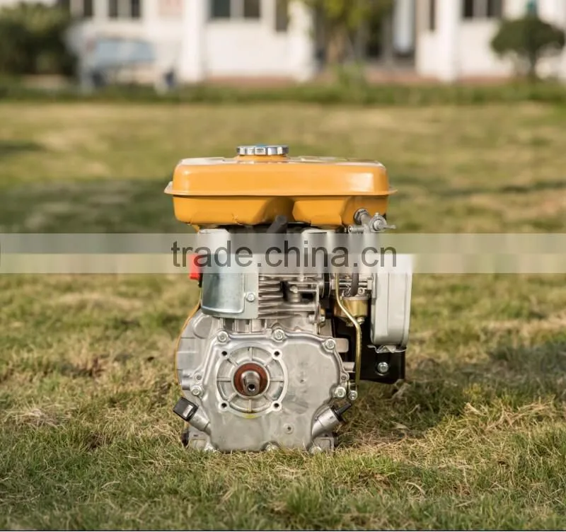 Factory Direct Sale High Quality Same As Robin EY20 5.5HP Gasoline Engine