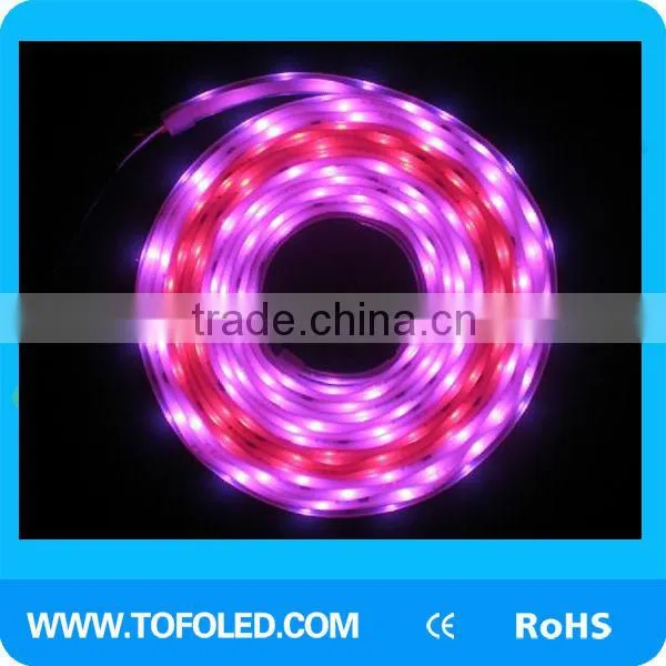 Dream color SMD5050 RGB WS2801 LED Strip Lighting