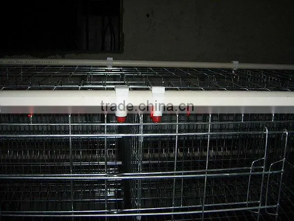 Ladder type poultry cage (Export standard battery cage system, Anti-corrosive)