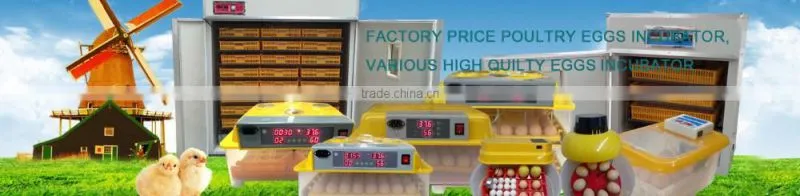 144 quail egg mini hatchery price in UK WQ-36