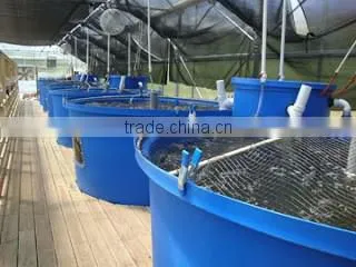 Hot sale K-1000L Rectangle Plastic Aquaponics Grow Bed