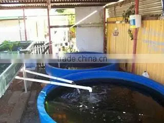 Hot sale K-1000L Rectangle Plastic Aquaponics Grow Bed