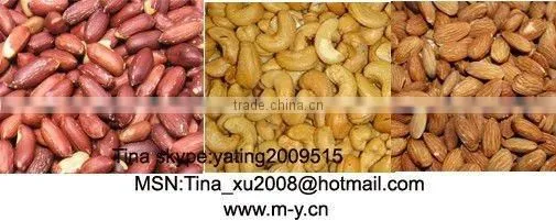 peanut roasting machine/peanut roaster/nt roster/nut baker