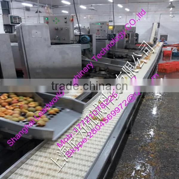 professional and hot sale canned yellow peach processing line