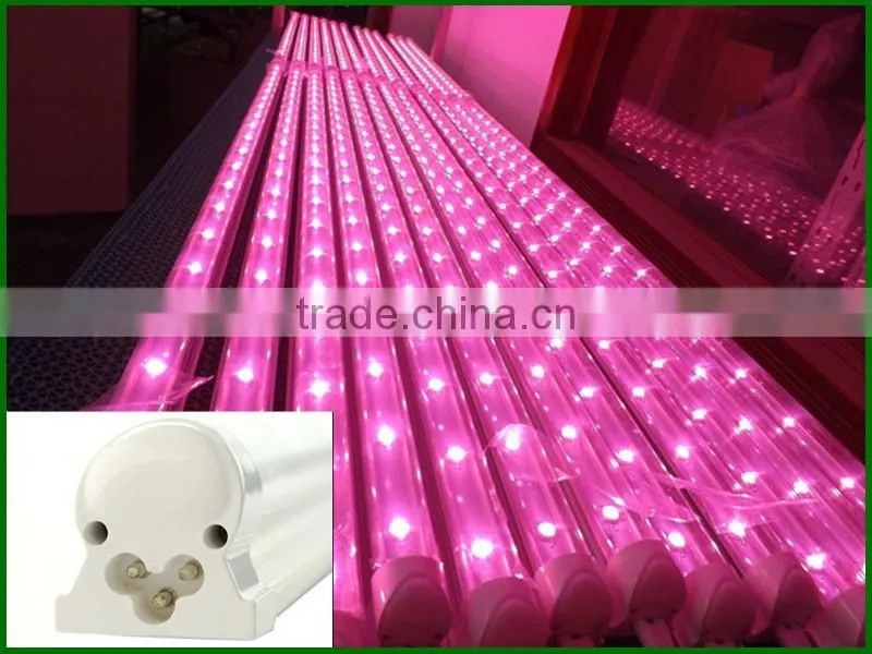 Sunlight led light/vertical farming led light/orchid seedlings grow light