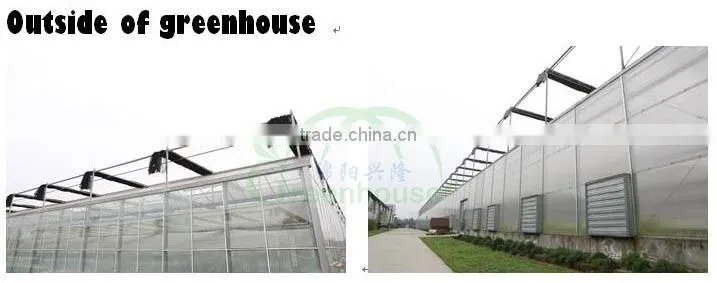 long life span Greenhouse polycarbonate sheet price