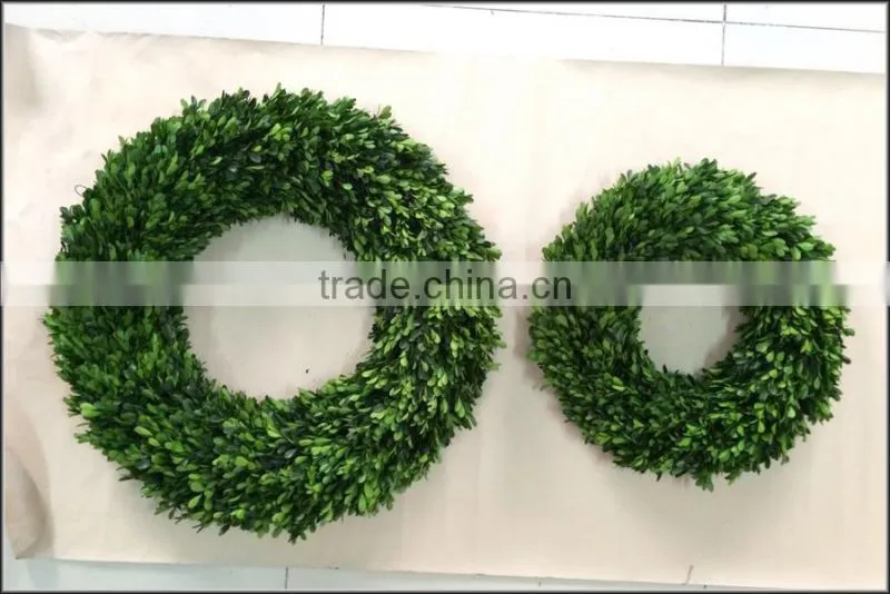 Decorative preserved holly leaves wreath