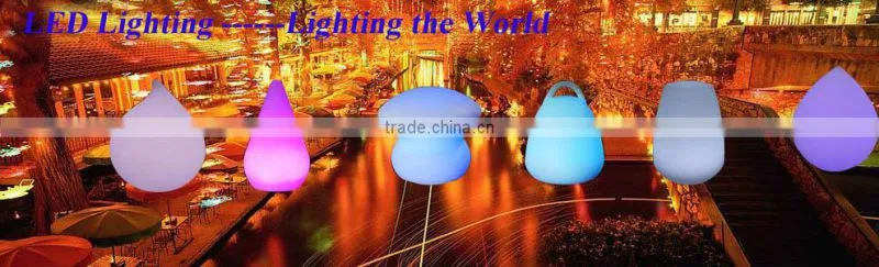 LED christmas lighting