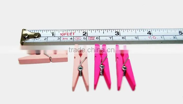 pretty wooden material decorated clip of colorful craft mini clothes peg