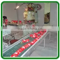 110G*72TINS baking powder
