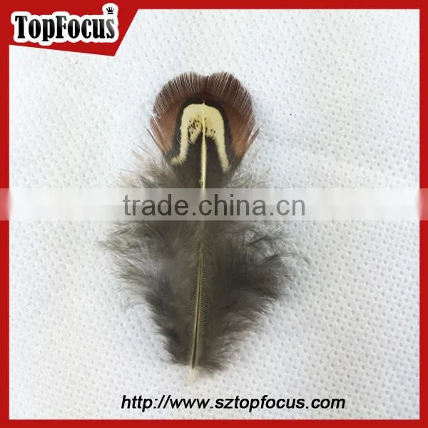 lower price natural synthetic pheasant feathers for carnival costumes