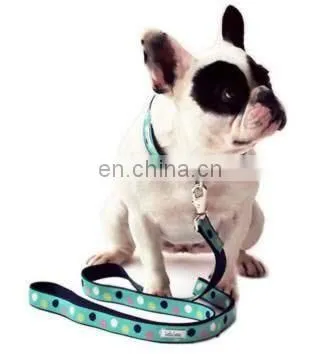 Factoyr direct manufacturer retractable dog leash leather dog leash