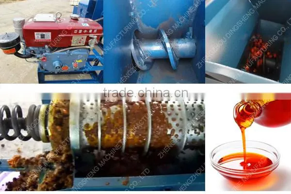 edible oil standard Mini Palm kernel/Palm fruit oil mill palm fruit oil press machine