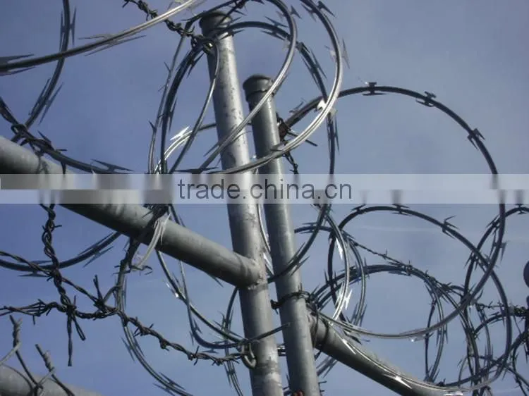 anping galvanized barbed wire for sale price from china