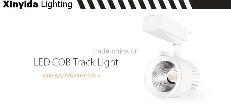 NEW PRODUCTS COB Adjustable gallery led track light syan