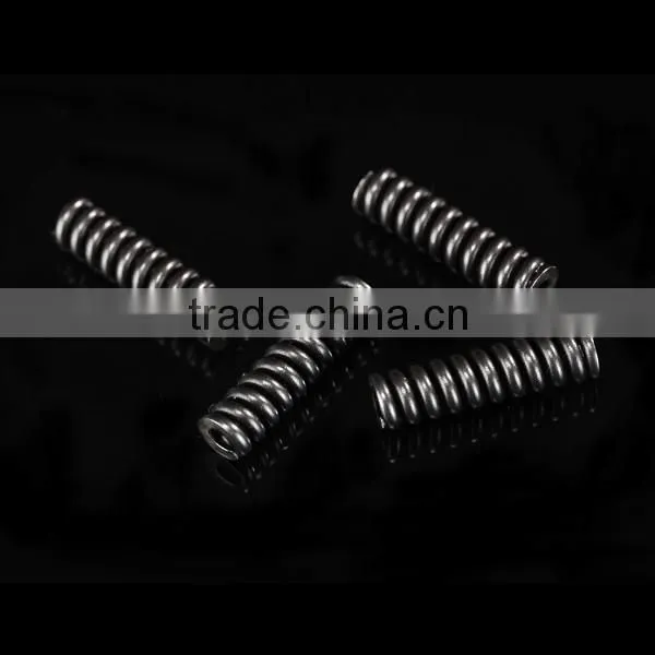 Bosch Fuel Injector Spring 2434619017